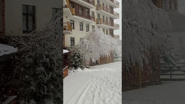 А ты что планируешь на Новый год?