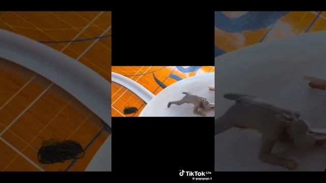 1000003408.mp4