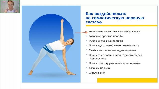 Вегетативная нервная система