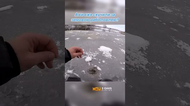 1000014087.mp4