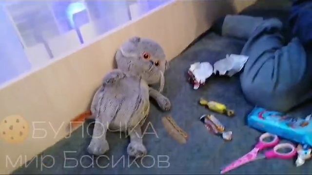 распаковываем новогодний подарок! 🙈