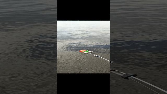 1000047939.mp4