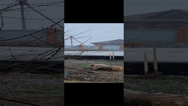 снег 13.12.24 😅