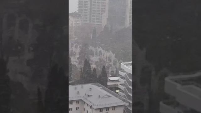 Зима ❄️ пришла в Сочи! 13 декабря
#курортыдляжизни #сочи #зима #сочиснег #погода #сегодня #пятница