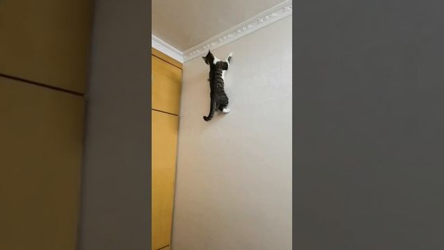 1000023709.mp4