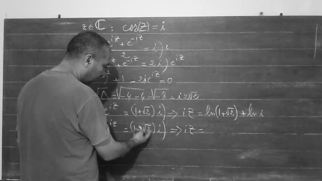 A trigonometric equation in complexe world cosz=i