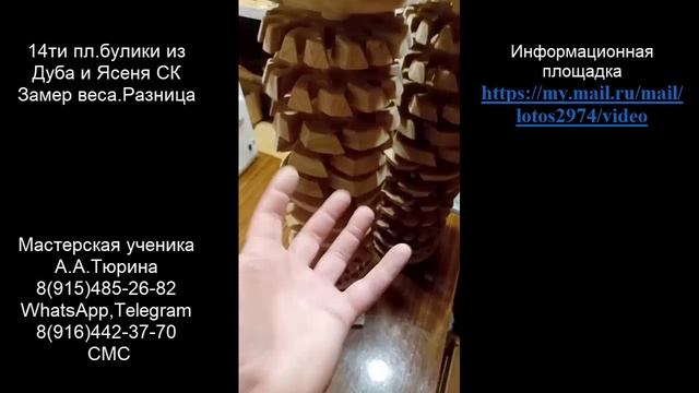 14ти пл.булики А.Тюрина из Дуба черешчатого и Ясеня скального. Веса. Разница.