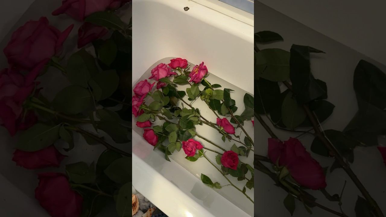 ￼Подарил любимой цветы. А им пи…