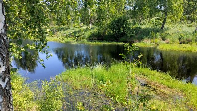 Невероятное место близ Боровуха, север Беларуси, белорусская природа