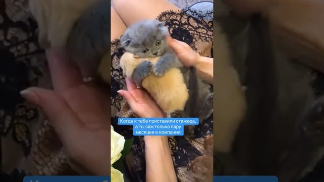 Однажды Хемингуэй поспорил, что сможет написать самый короткий рассказ, способный растрогать любого.