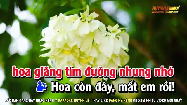 Karaoke Đường Tím Bằng Lăng - Song Ca