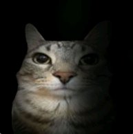 просто общаться и задавайте вопросы и давайте советы что снимать