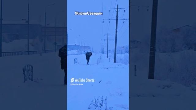 ЖизньСеверян. Люди северного города Ямало-Ненецкий АО Лабытнанги 2024