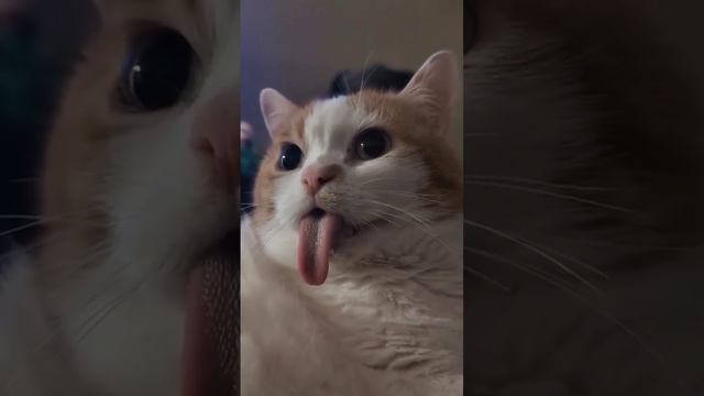 😝