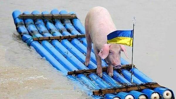 Сказки на ночь для Пиндосов.