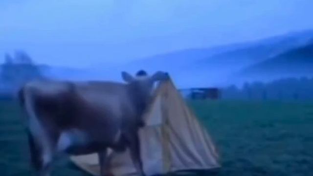 Отработали кроссы