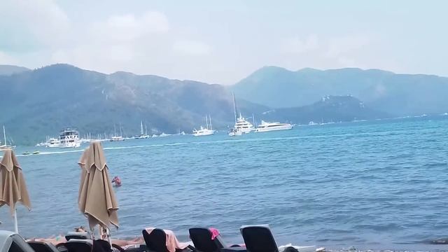Лена и Ваня LIFE. Ваню жалко. Обзор влогов. 07 08 2023 Лена