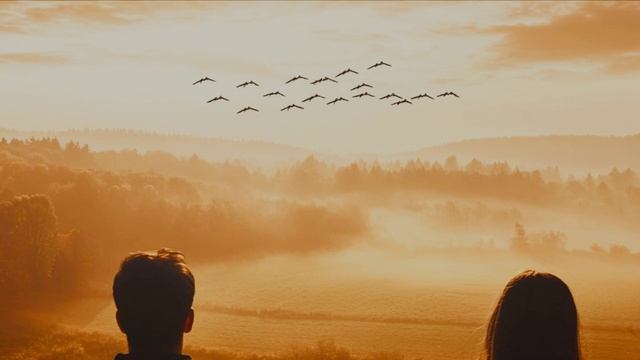 летели журавли