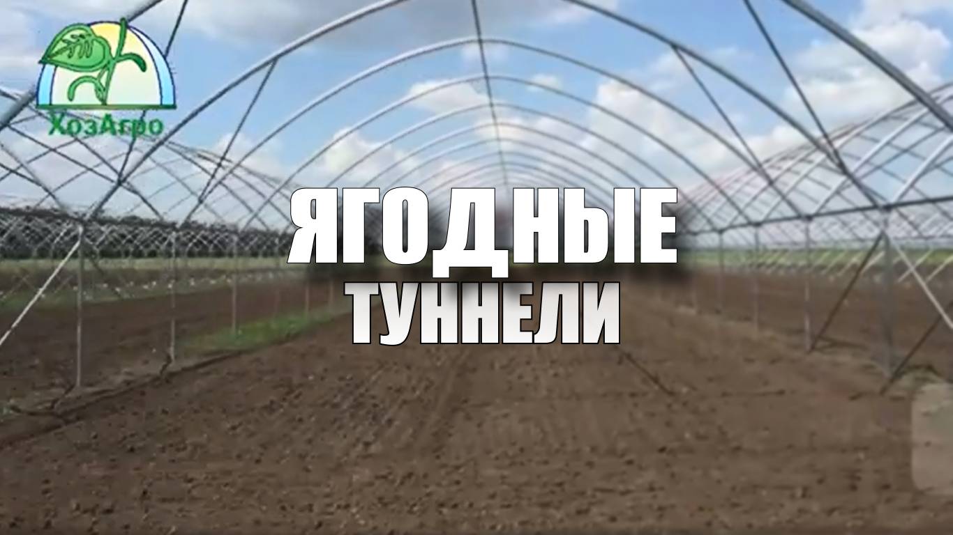 Ягодные туннели🍓