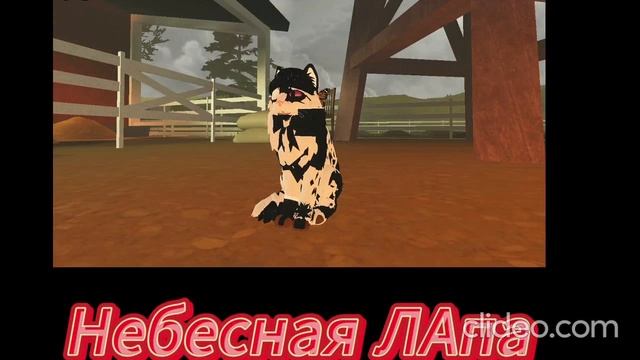 Я стала другой)
