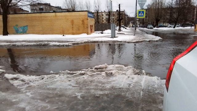 Выборге ужас