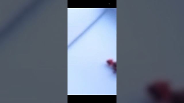 повтор