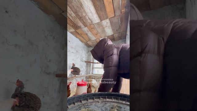 Вот и холодец готов