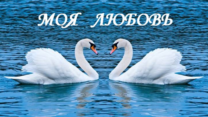 МОЯ ЛЮБОВЬ - В. СОРОКИН-ФОРТЕ