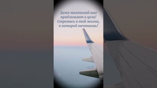 Цитата дня