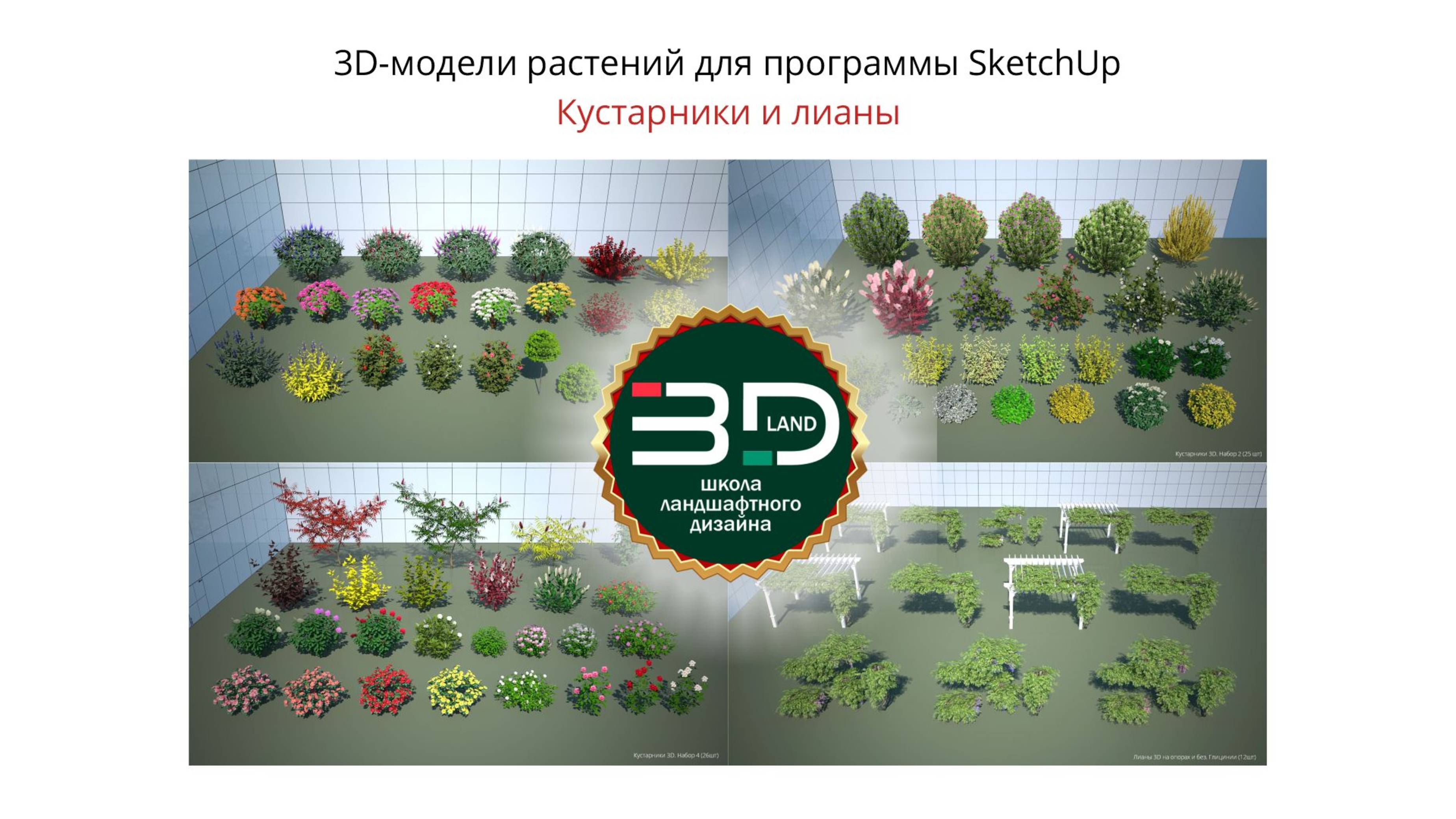 2  3D-растения для SketchUp. Кустарники и лианы