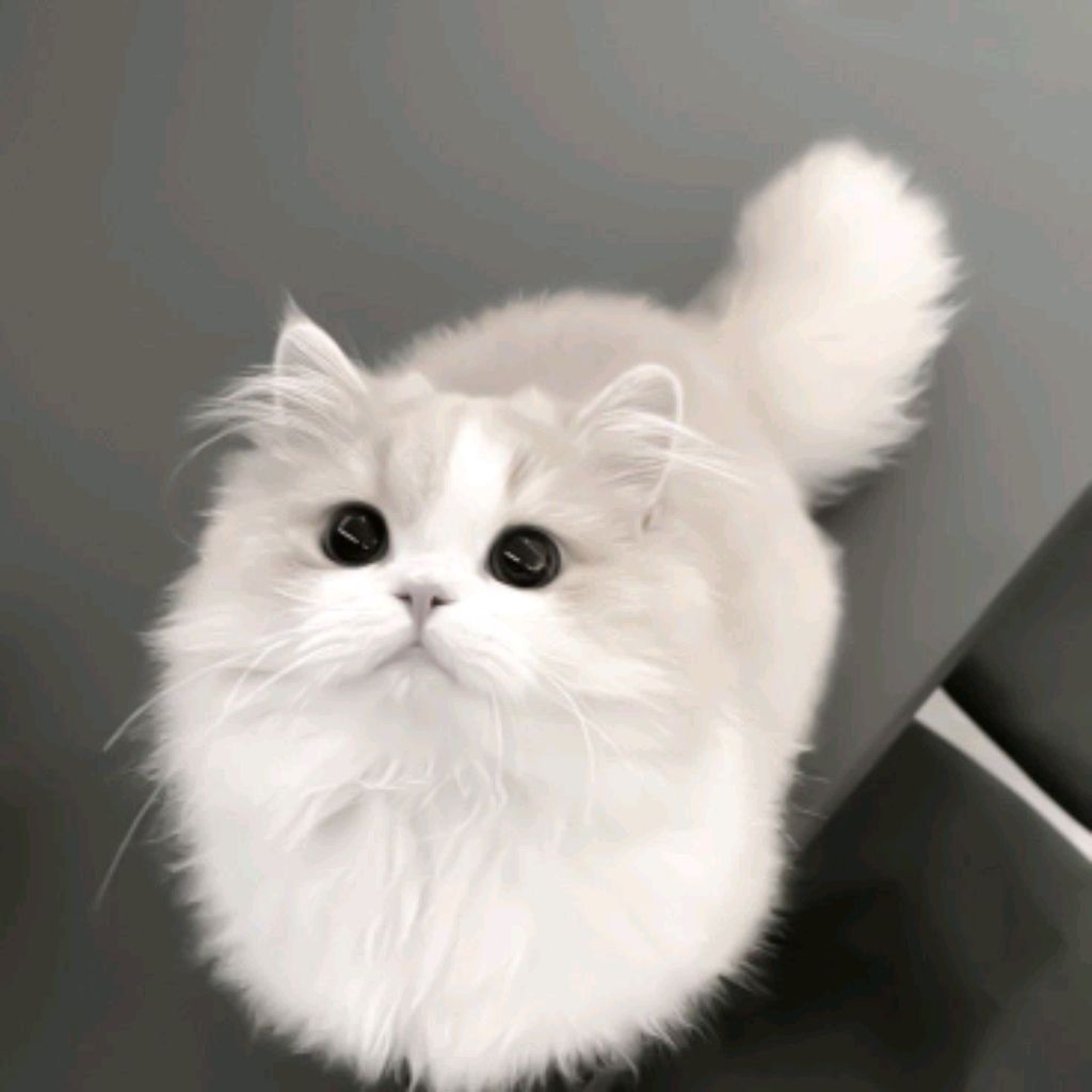 Басик делает уроки