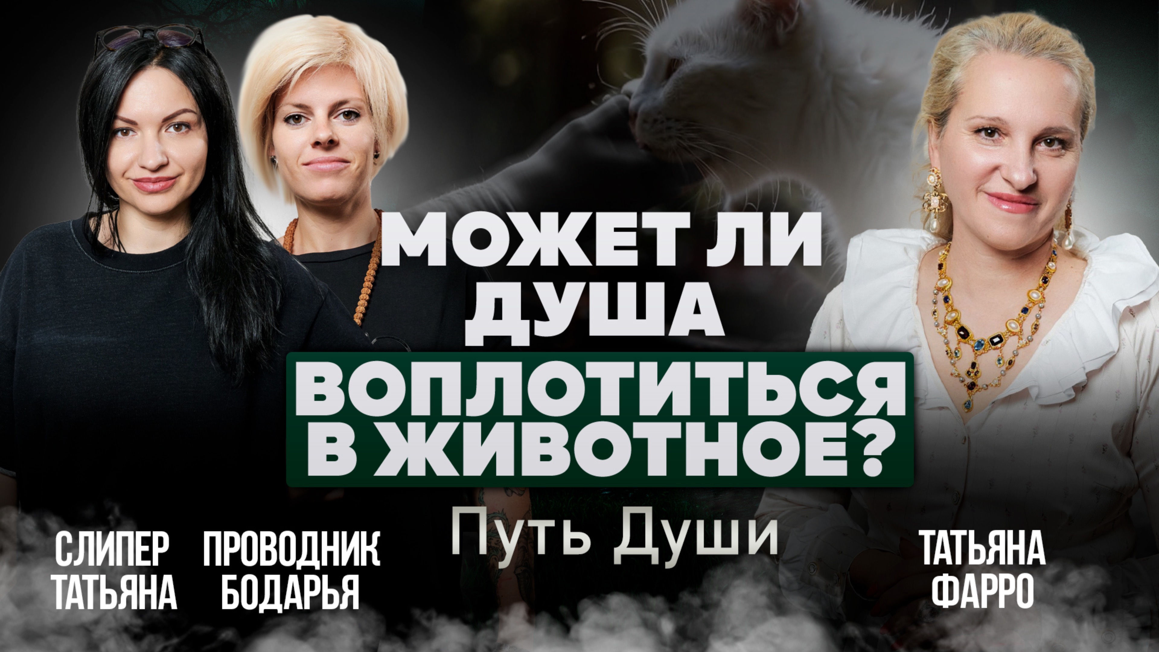 Может ли душа человека ВОПЛОЩАТЬСЯ В ДОМАШНИХ ЖИВОТНЫХ? Правда или Миф? Путь души