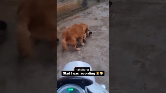 1000023702.mp4