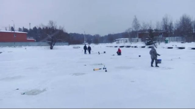 Светлые Горы Форель 13.12.2024г.