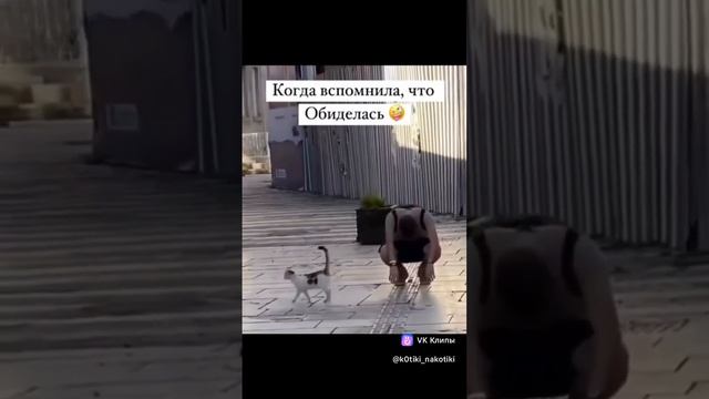 Когда вспомнила, что Обиделась😂