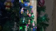 VID-20241213-WA0088.mp4