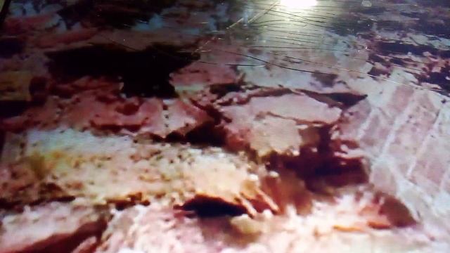 Забытый старый храм Тихвинской иконы божьей матери в деревне Ламерье. Выглядит очень эпично.