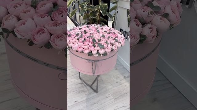 Ранункулюсы — Элегантность и Нежность в Каждом Петуне!