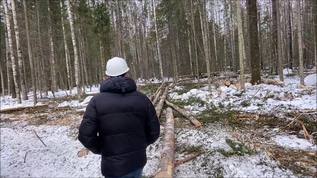 В лес по-нижегородски