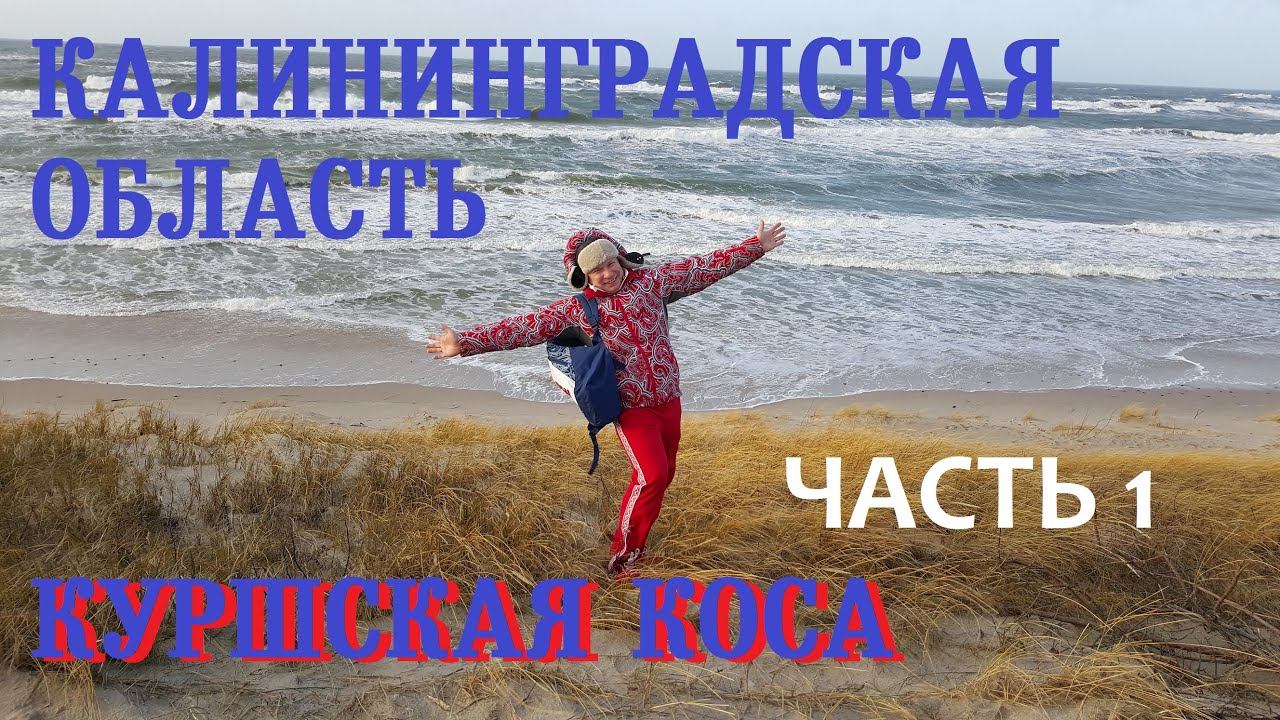 Куршская Коса. Путешествие по Калининградской области. ЧАСТЬ 1