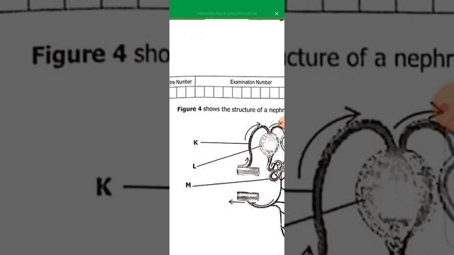ecz biology 2021 internal p 2