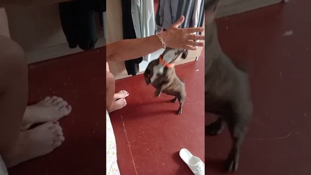 1000007646.mp4