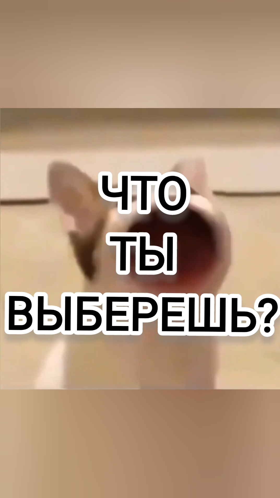 ЧТО ТЫ ВЫБЕРЕШЬ?