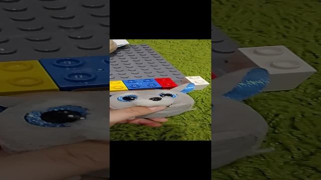 1000001503.mp4