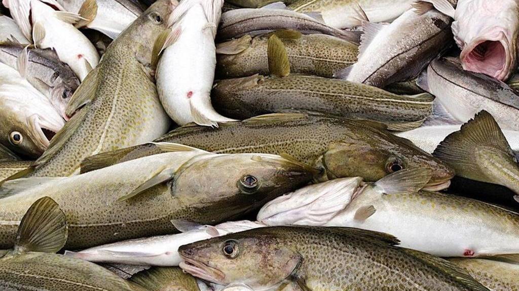 РР4 Норвежка 18 серия