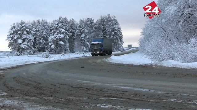 В Ульяновской области лесники вышли на проверку автомобилей