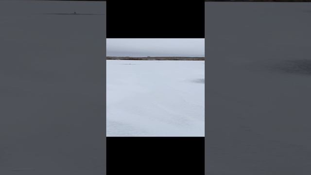 1000094746.mp4