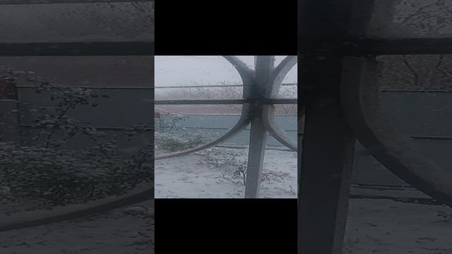 Россия Кубань