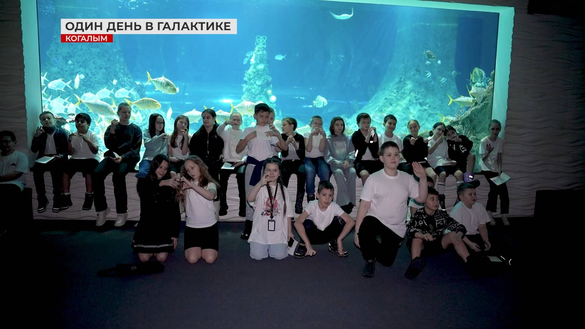 Проведи «Один день в «Галактике»!