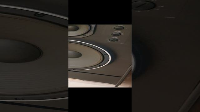 20241213_162451.mp4